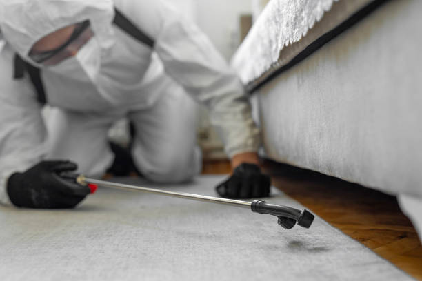 Professional Bed Bug Control technician working in Crescent, OK
